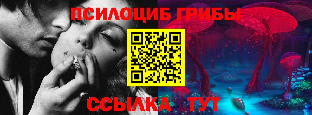 Кудымкар  Псилоцибиновые грибы Magic Shrooms  Вход с VPN  Галлюциногенные грибы GOLDEN TEACHER 